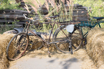 Fototapeta na wymiar Old bicycle vintage style