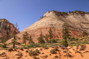 Fototapeta premium beeindruckende rot weiße Felsformationen im Westen Amerikas