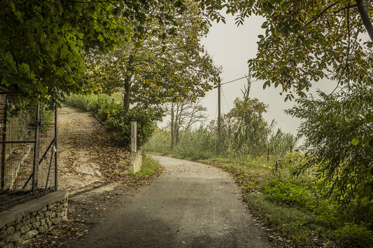 strada di campagna in autunno