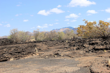 Vulkanlandschaft im Tsavo West Nationalpark © luja_104