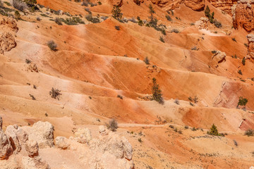 Imposante Formen und Farben im Bryce Canyon