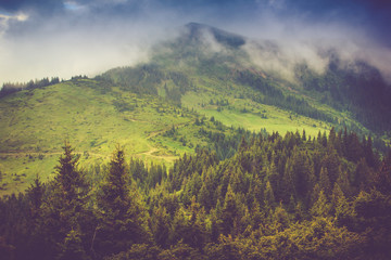 Mountain landscape and forests tops covered with mist. Dramatic overcast sky.