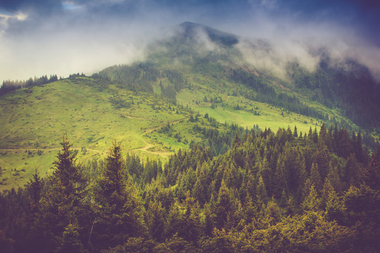 Mountain landscape and forests tops covered with mist. Dramatic overcast sky.