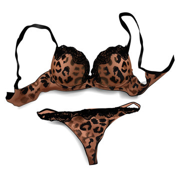 Female sexy bra and panties leopard print on white background. Vector illustration