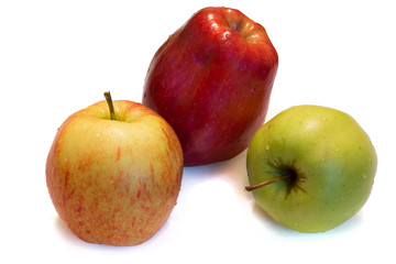apple on a white background.
