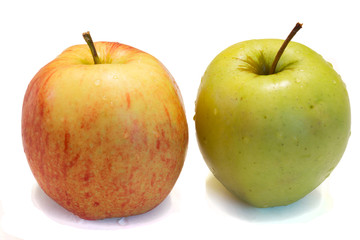 apple on a white background