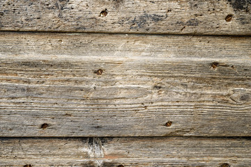 Fototapeta premium wood surface for natural background