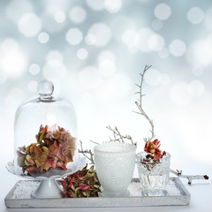 Abstract background winter season