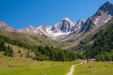 Fototapeta na wymiar Gebirgskamm in Südtirol