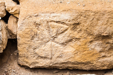 Double Axe of Knossos at Crete