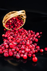 Cranberries near the basket