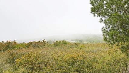 Niebla en el Parque Natural de El Garraf, Barcelona