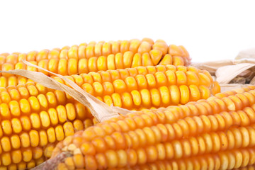 An ear of corn isolated
