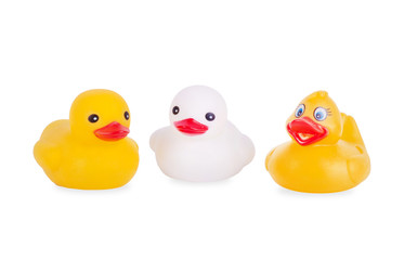  rubber duck isolated