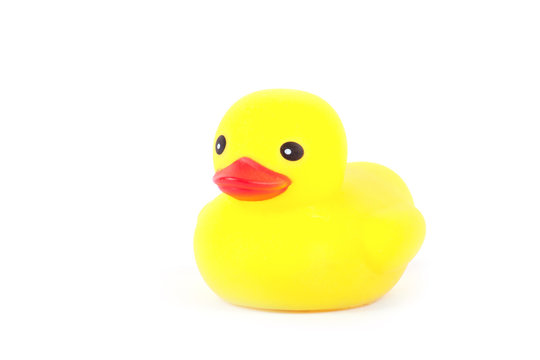  rubber duck isolated