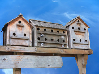 Old wooden starling nesting boxes bird house over blue sky