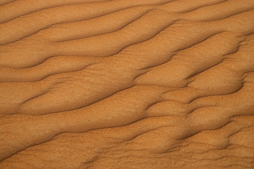 Fototapeta na wymiar Wüste in den Vereinigten Arabischen Emiraten