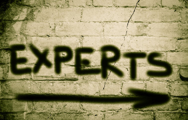 Experts Concept