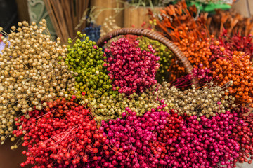 Sort of autumn flowers and seeds