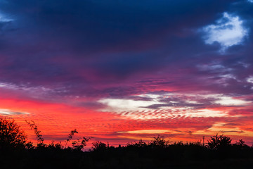 Obraz premium Niebo przed wschodem słońca