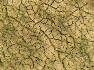 Cracked ground texture