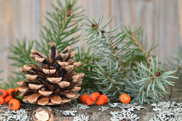 Natural Christmas decoration: Pine cone, berries and spruce branches on the log