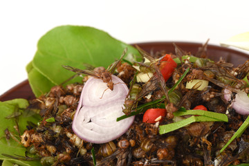 Red Ant egg salad, salad seasoned with pepper. , Lemon grass, kaffir lime leaves and shallots, herbs for health.
