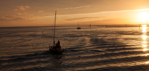 sailing boat in the sun set