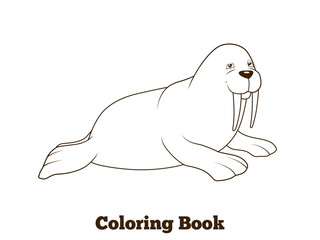 Walrus cartoon coloring book vector illustration