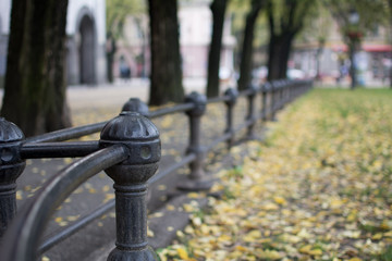 Iron fence in a park