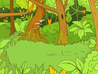 Jungle forest cartoon vector illustration