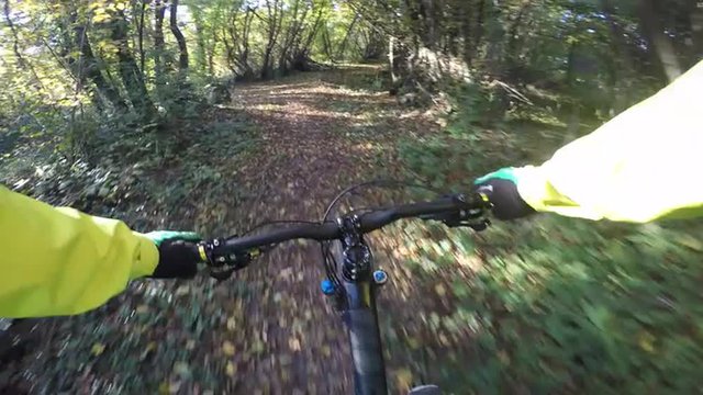 Mountain biker POV of riding on the forest trail