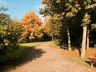 Naklejka premium Park im Herbst