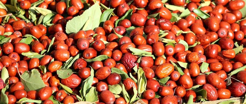 Jujubes au march&eacute;
