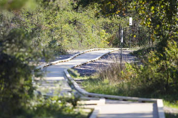 Boardwalk to Lake Superior beach