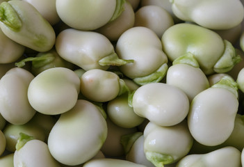 Shelled broad beans