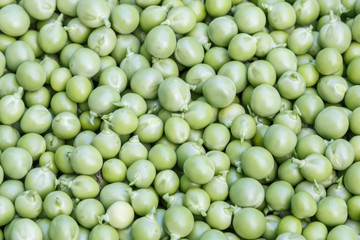 Shelled fresh green peas