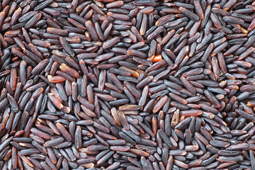 Close - up Healthy food uncooked brown rice