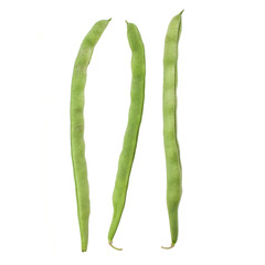 Fresh yardlong bean isolated on white background