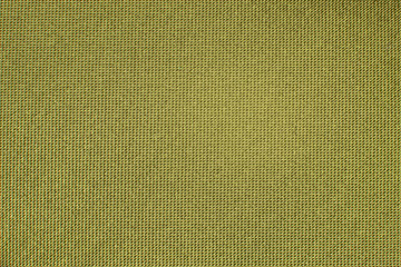 Green smooth canvas textured background.