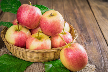 Organic apples in basket in summer grass. Fresh apples in nature