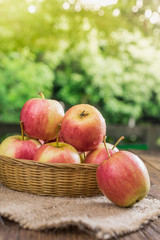 Organic apples in basket in summer grass. Fresh apples in nature