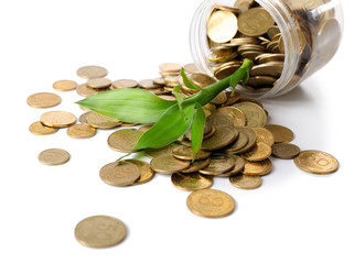 Plant growing in coins scattered from the bottle