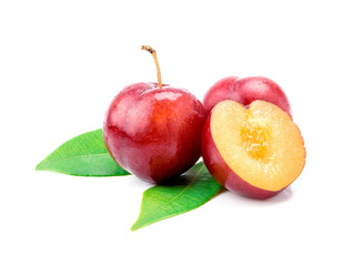 Red plum fruit
