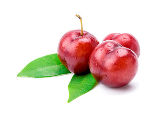 Red plum fruit