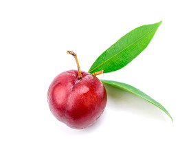 Red plum fruit