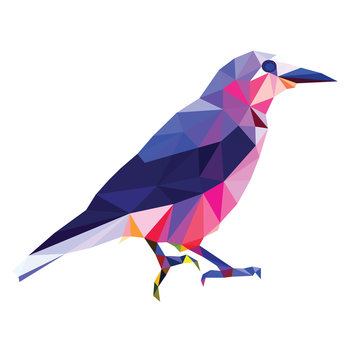 Low Poly Bird Vector