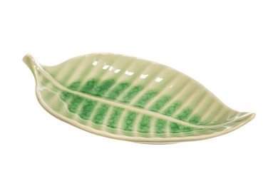 ceramic dish