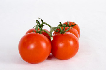 Red Tomatoes