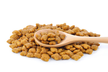 cat food in the wood spoon